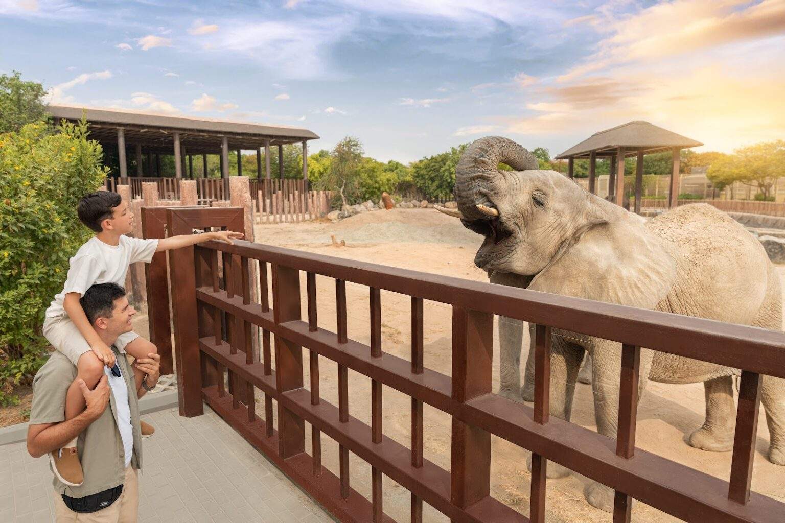 COMBO | Dubai Safari Park (Zoo) & Dubai Desert Safari experience in Dubai - Image 2