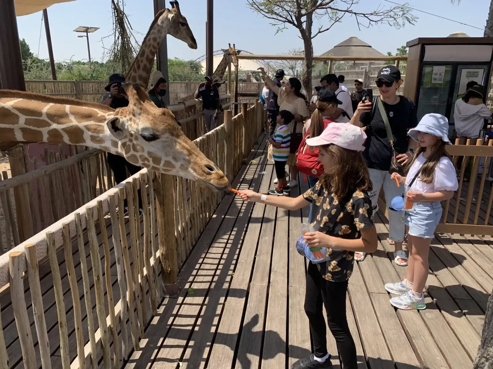 COMBO | Dubai Safari Park (Zoo) & Dubai Desert Safari experience in Dubai - Image 4