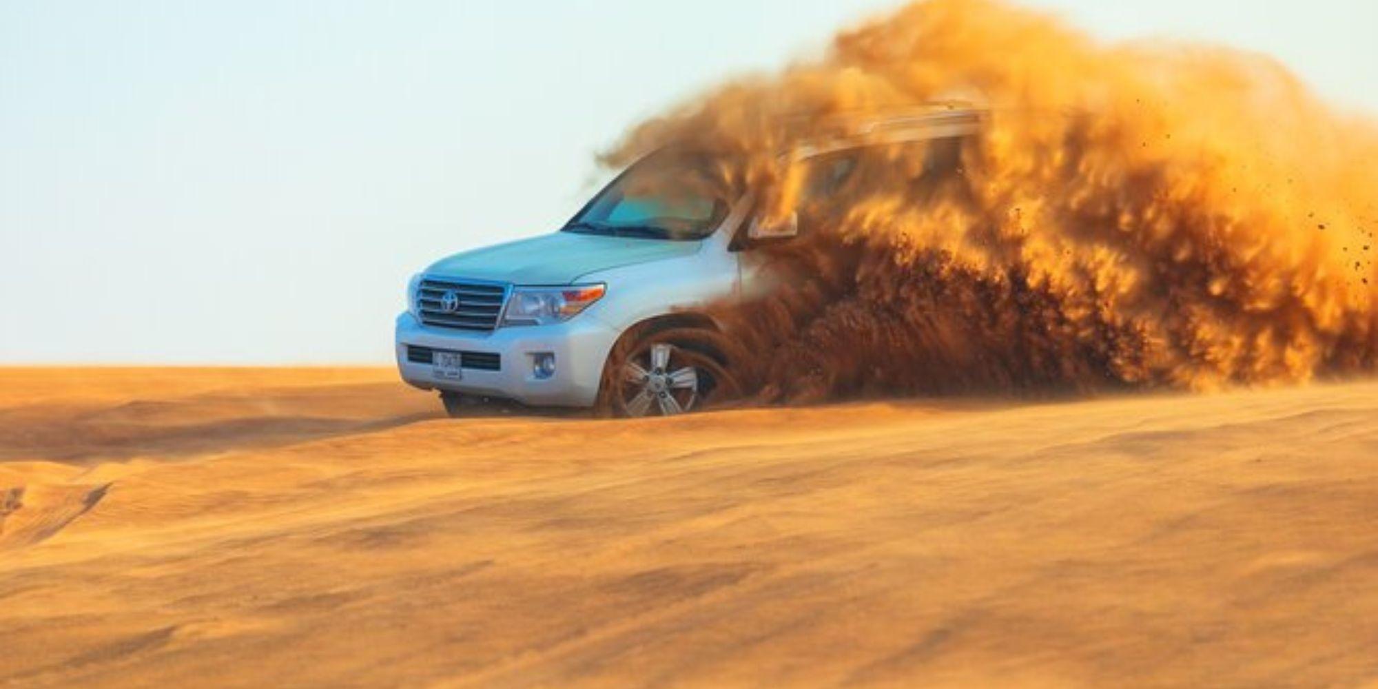 Desert Activities