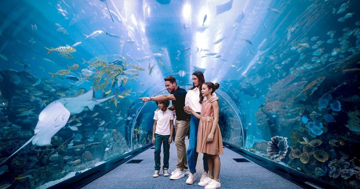 Dubai Aquarium & Underwater Zoo + Penguin Cove
