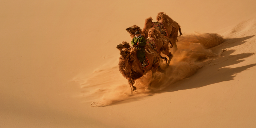 Premium Desert Safari with B.B.Q Dinner + ATV Quad Biking