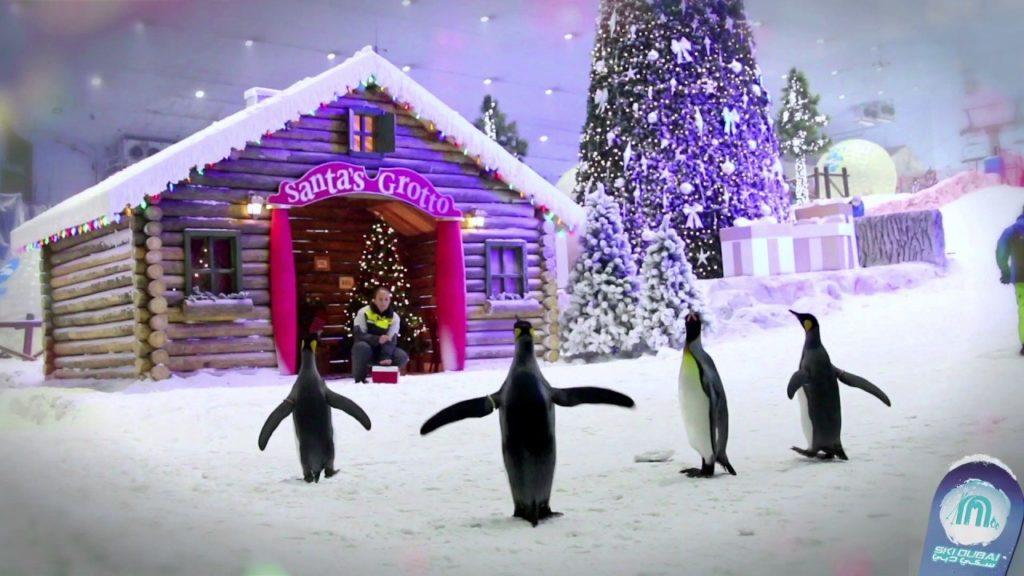 Snow Classic – Unlimited Winter Fun at Ski Dubai