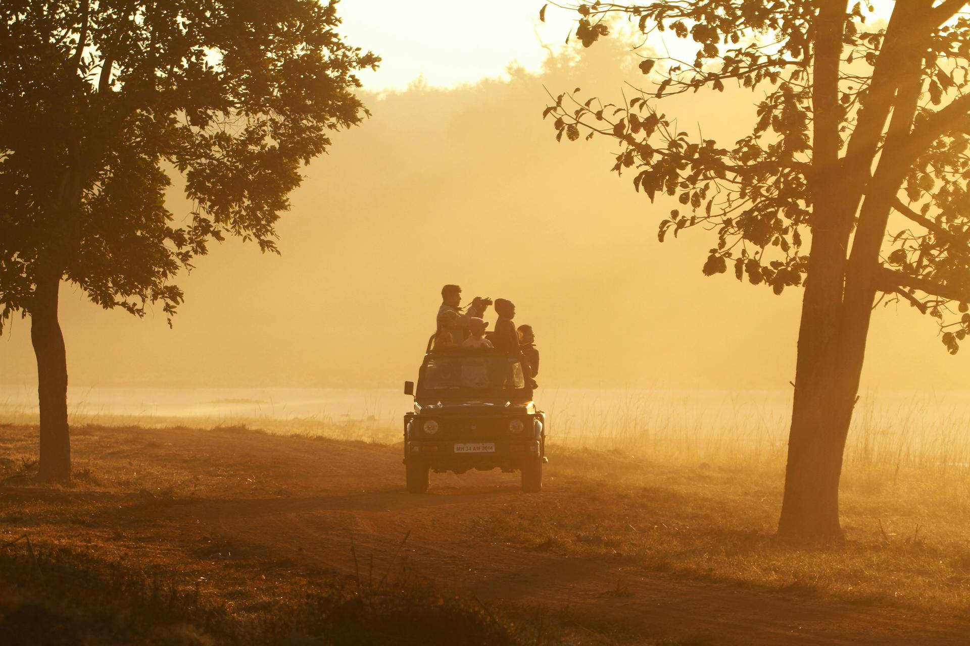 Sunrise Safari Group
