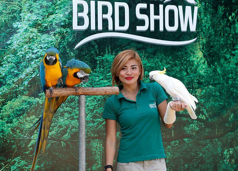 Bird Show at Creek Park Dubai experience in Dubai - Image 3