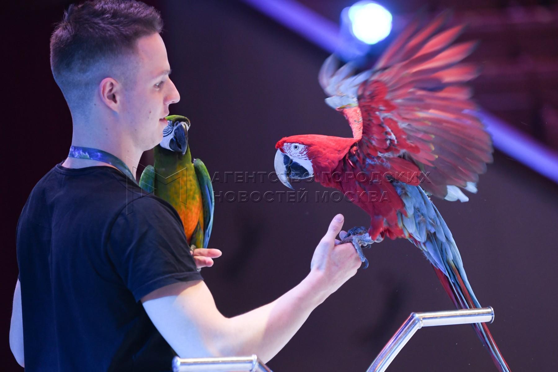 Bird Show at Creek Park Dubai experience in Dubai - Image 7