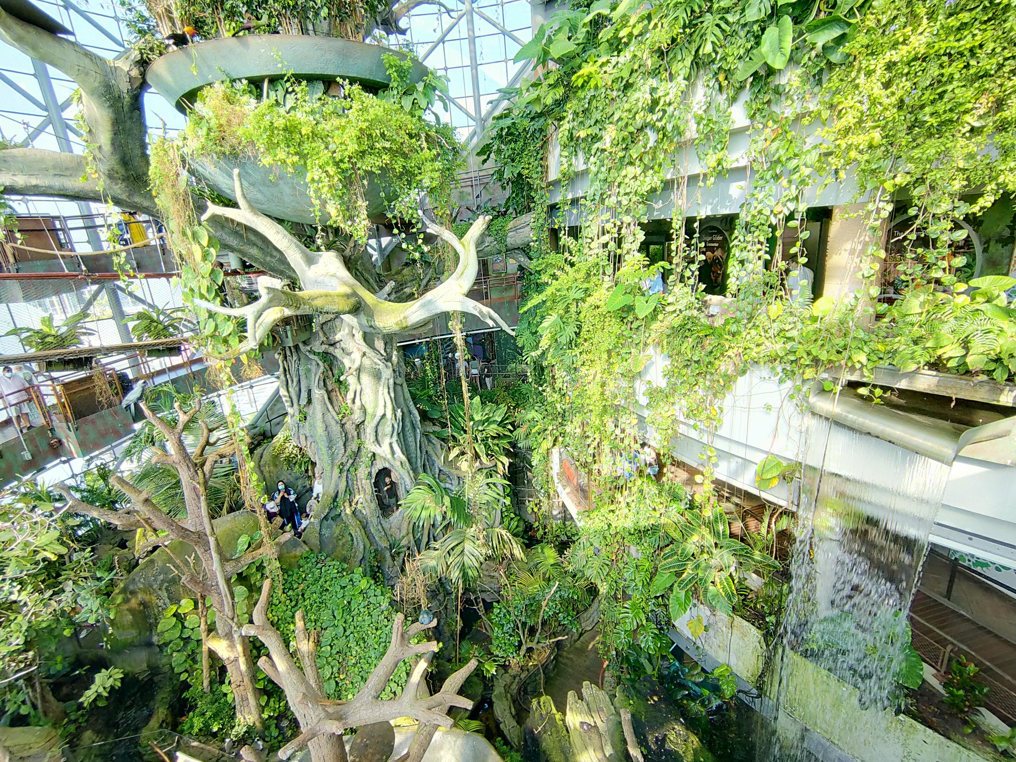 The Green Planet – Dubai’s Indoor Tropical Rainforest experience in Dubai - Image 3