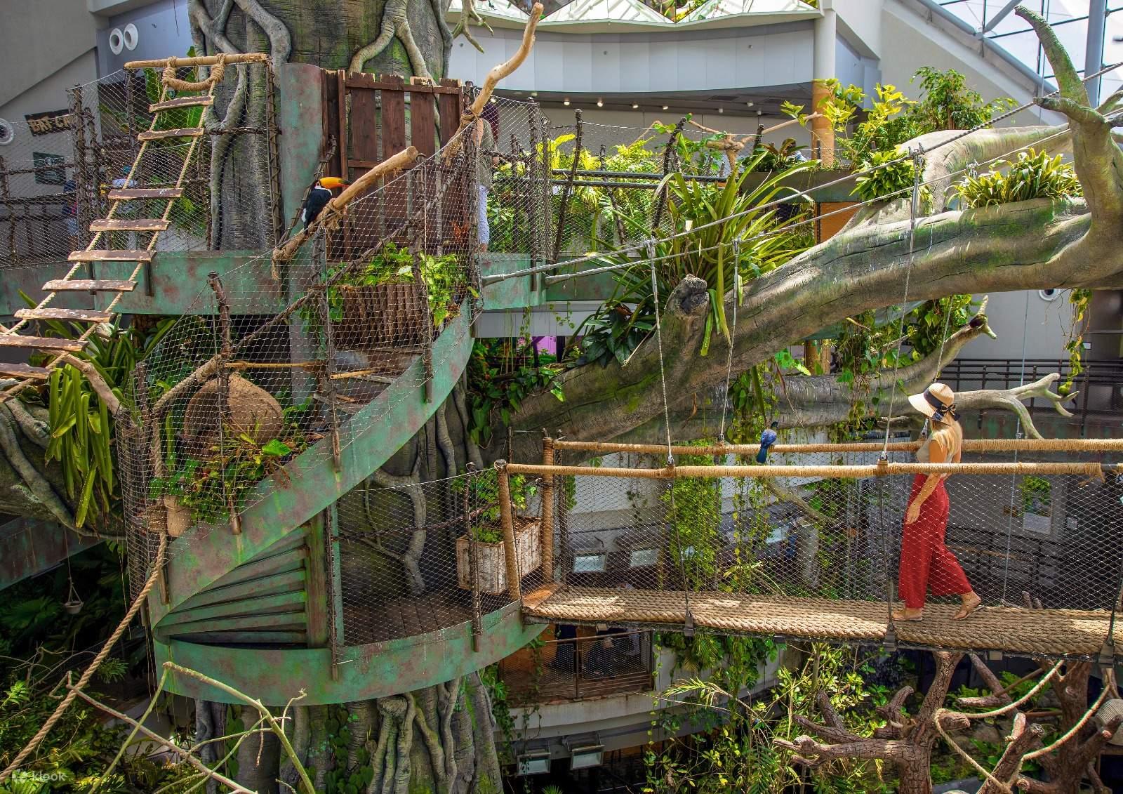 The Green Planet – Dubai’s Indoor Tropical Rainforest experience in Dubai - Image 4