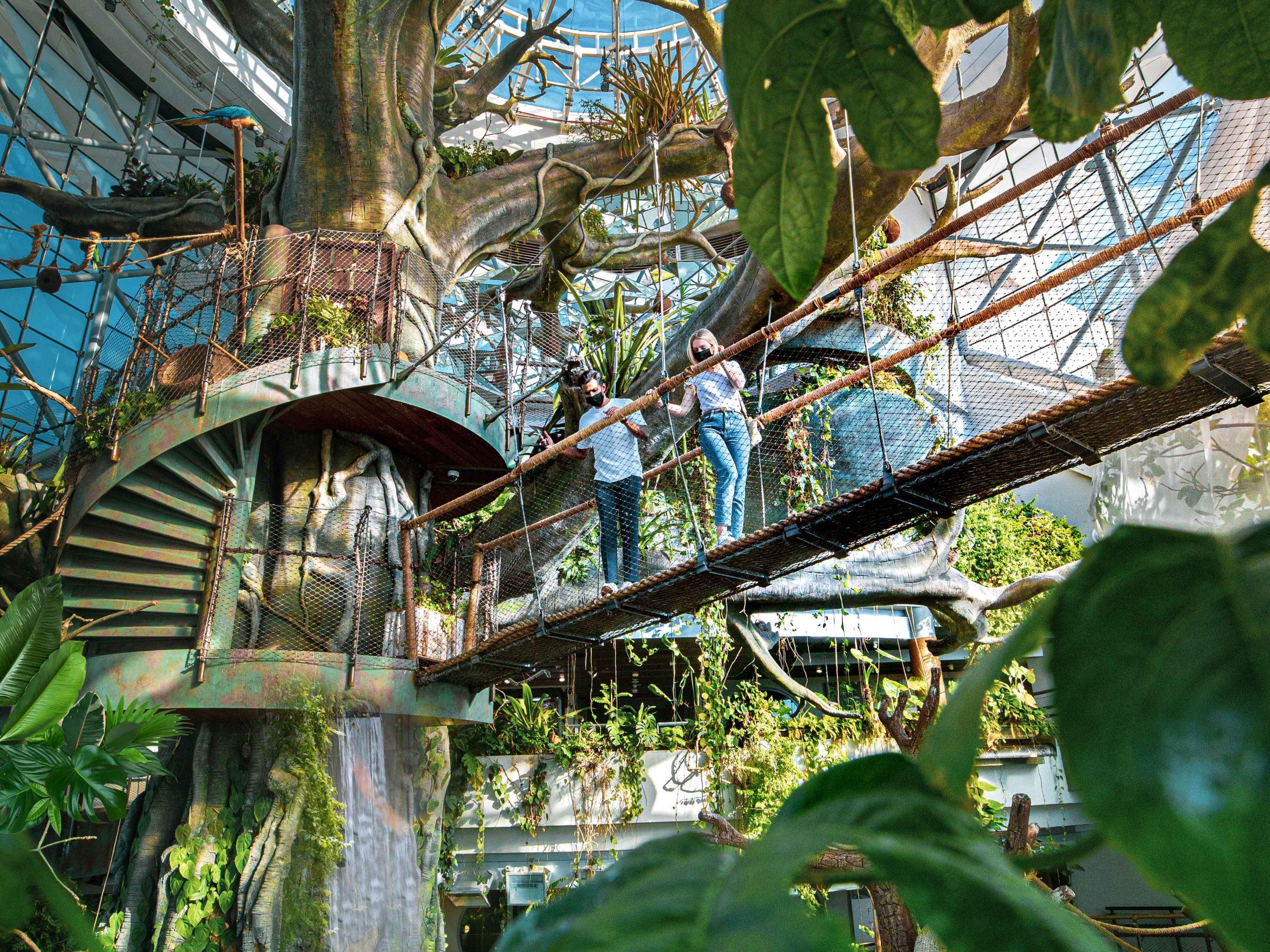 The Green Planet – Dubai’s Indoor Tropical Rainforest experience in Dubai - Image 5