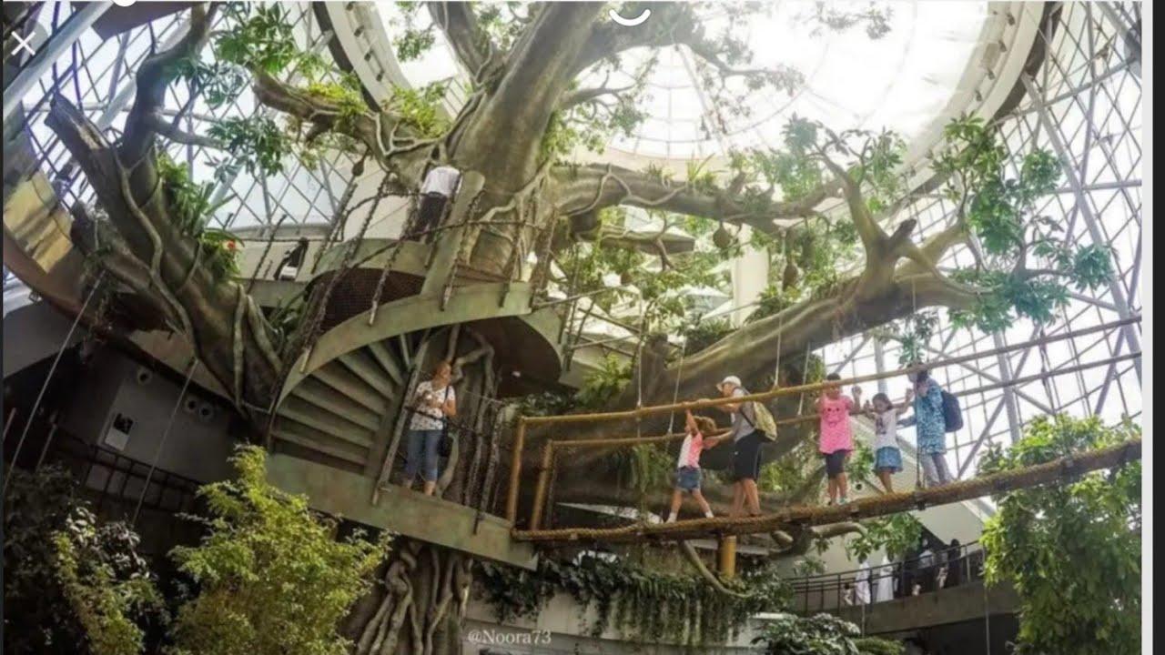 The Green Planet – Dubai’s Indoor Tropical Rainforest experience in Dubai - Image 7