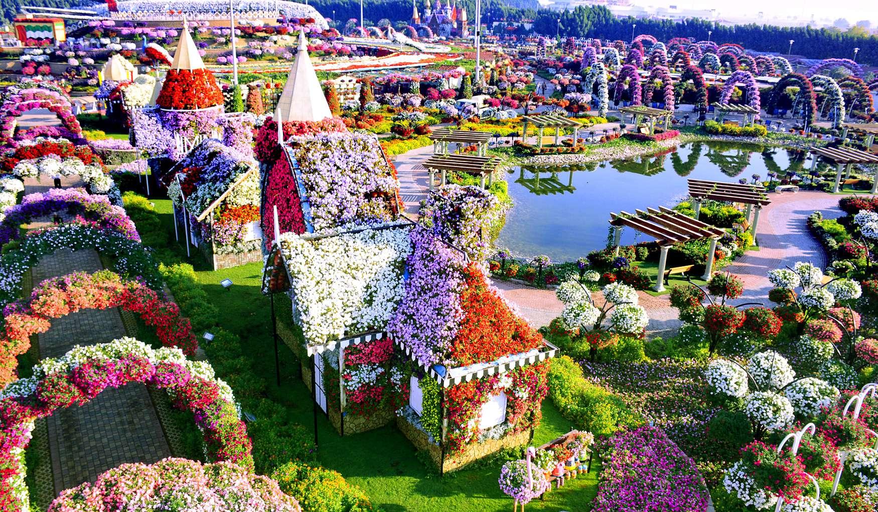Dubai Miracle Garden – A Blooming Wonderland in the Desert experience in Dubai - Image 3
