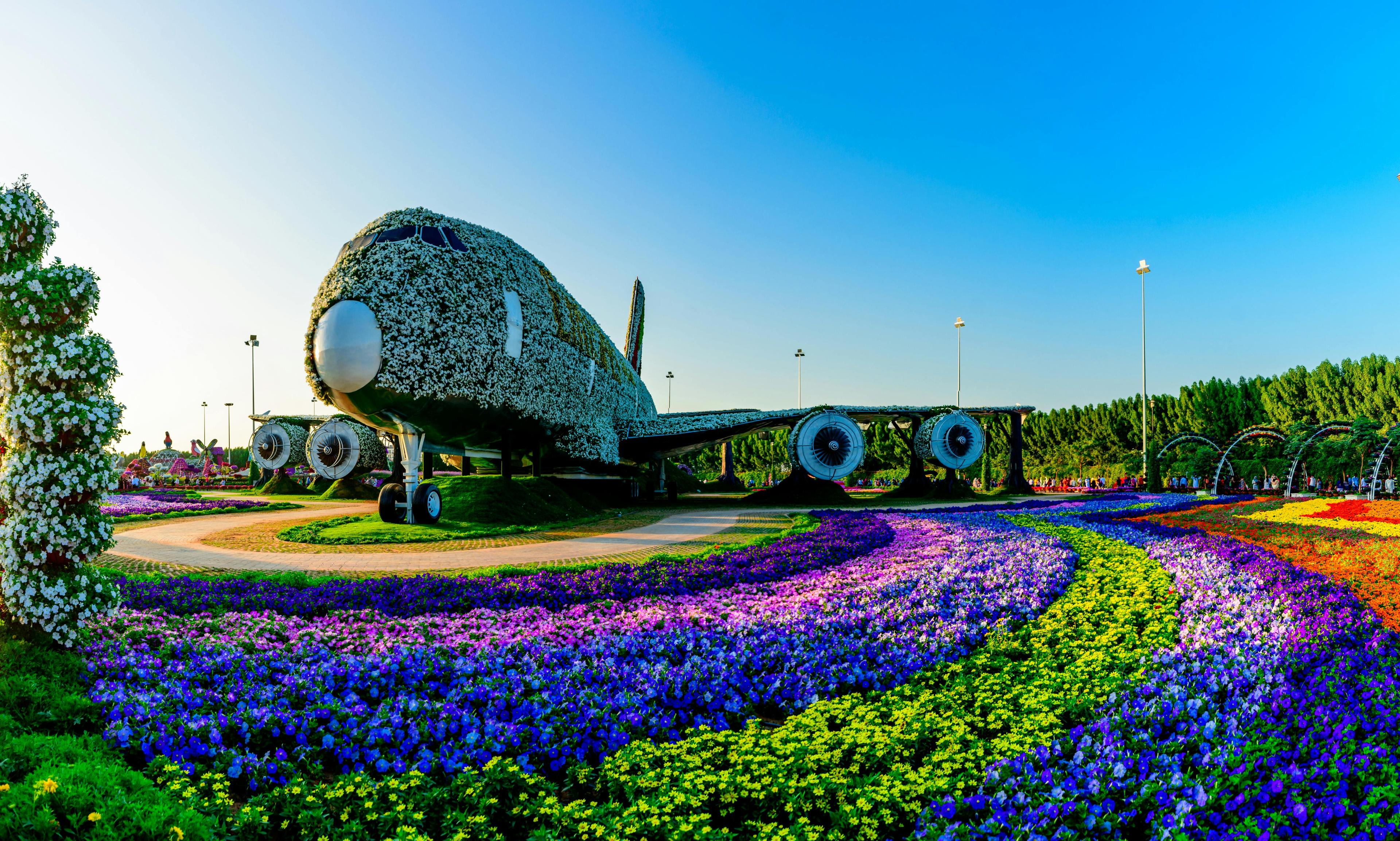 Dubai Miracle Garden – A Blooming Wonderland in the Desert experience in Dubai - Image 8