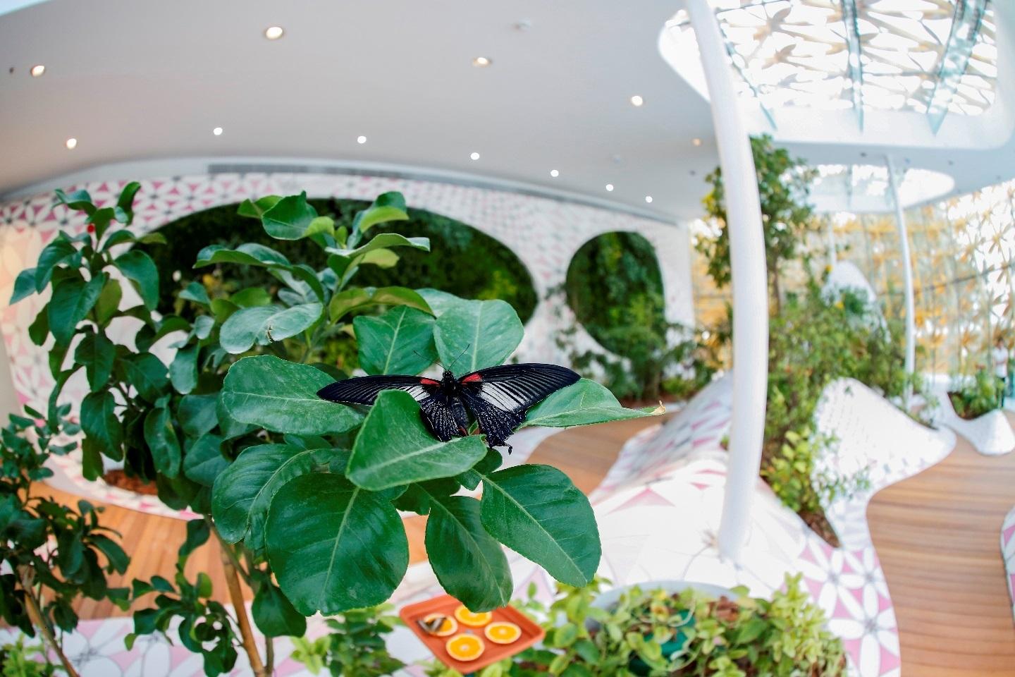 Al Noor Island – Self-Guided Tour Experience experience in Dubai - Image 6