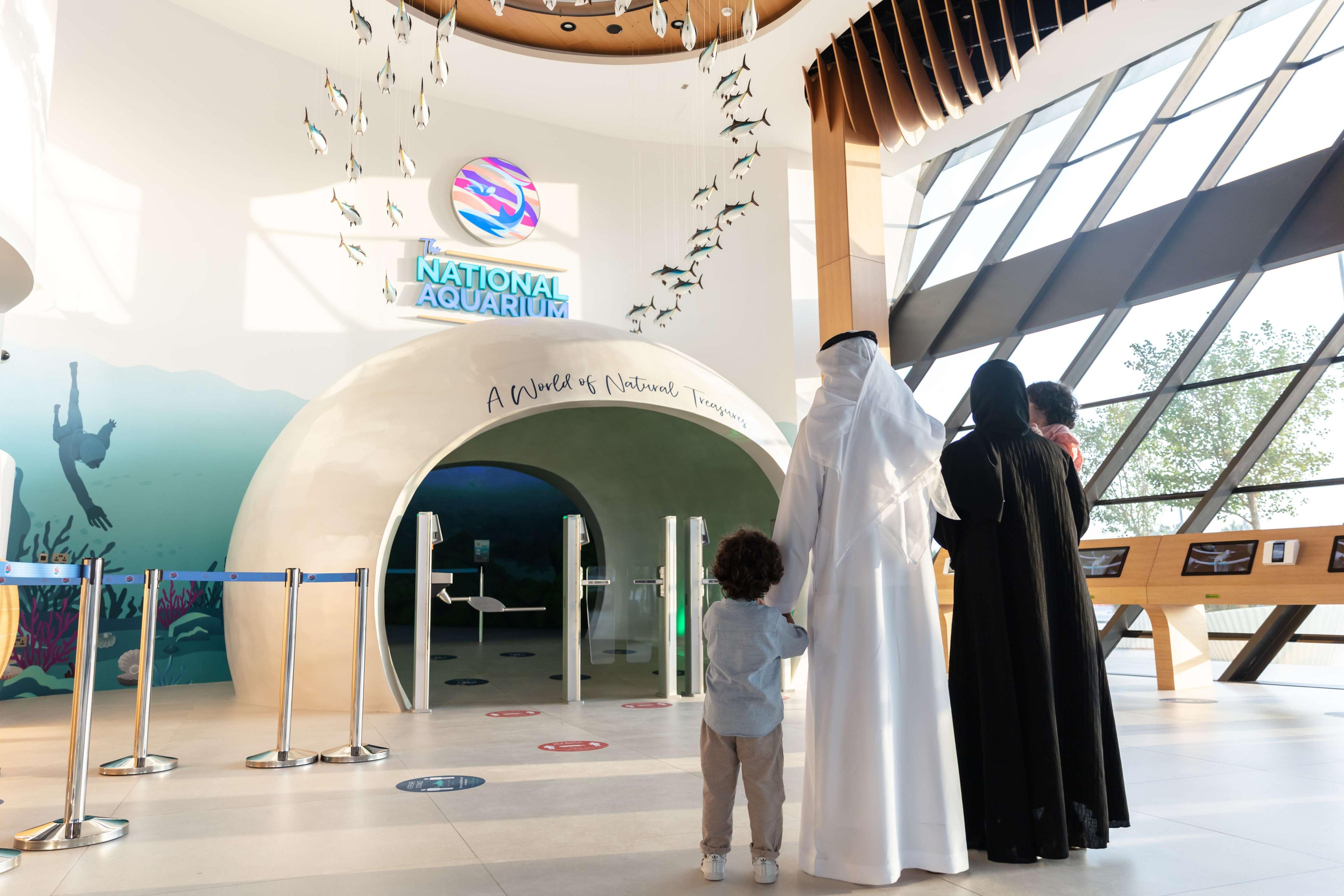 The National Aquarium Abu Dhabi experience in Dubai - Image 7
