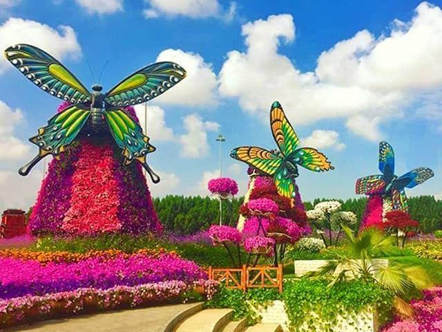 Dubai Butterfly Garden experience in Dubai - Image 5