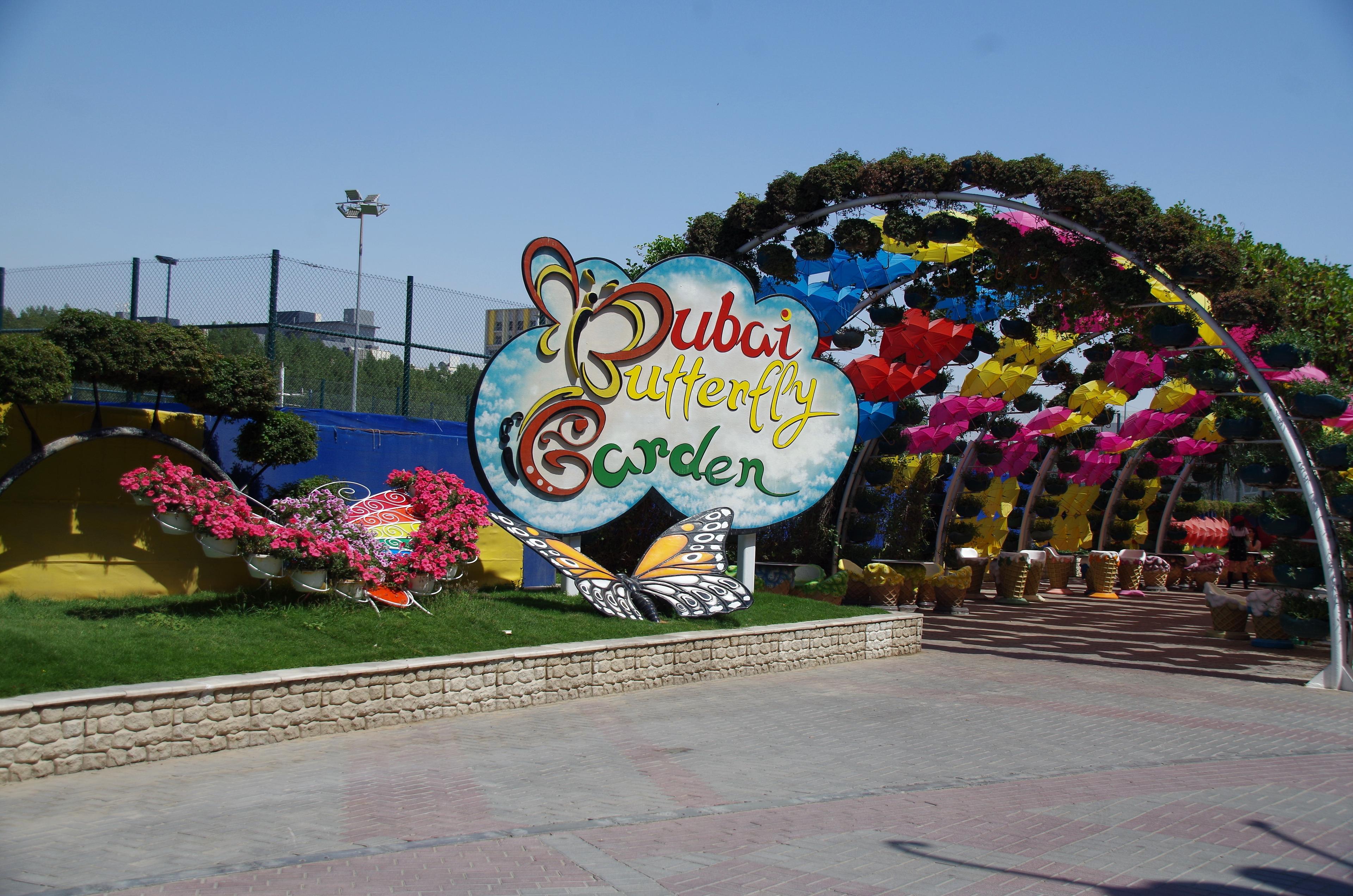 Dubai Butterfly Garden experience in Dubai - Image 6
