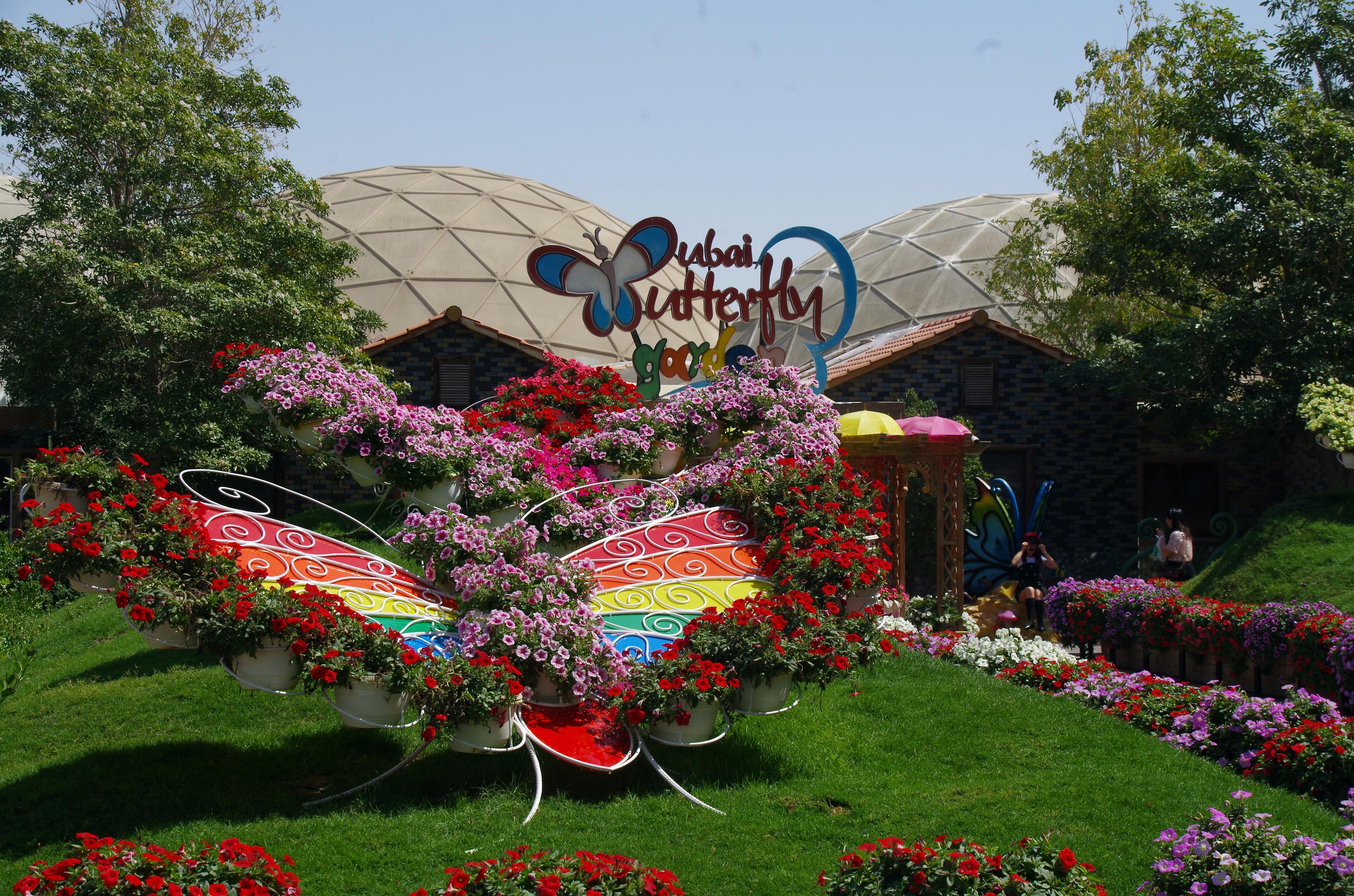 Dubai Butterfly Garden experience in Dubai - Image 7