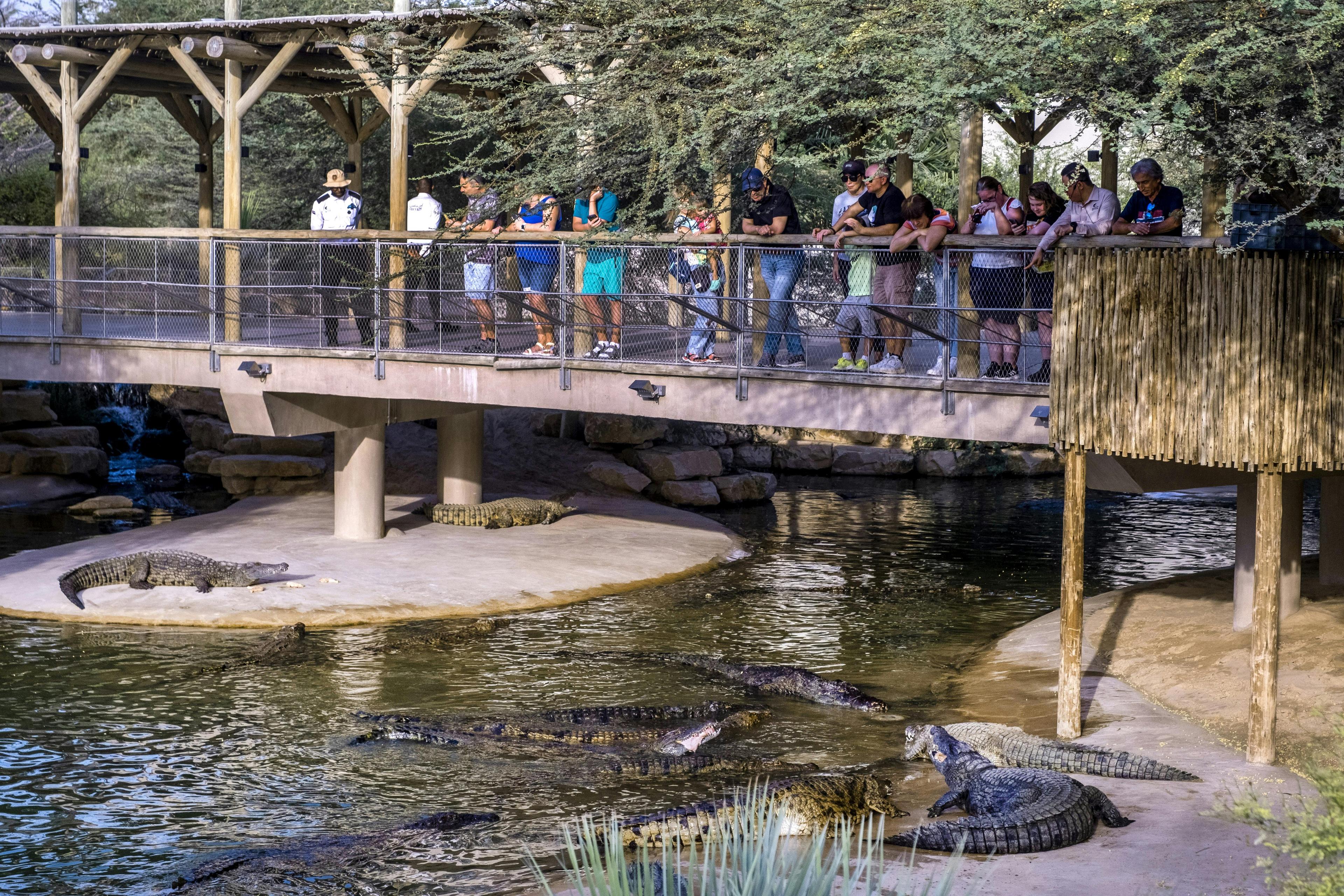 Dubai Crocodile Park experience in Dubai - Image 3
