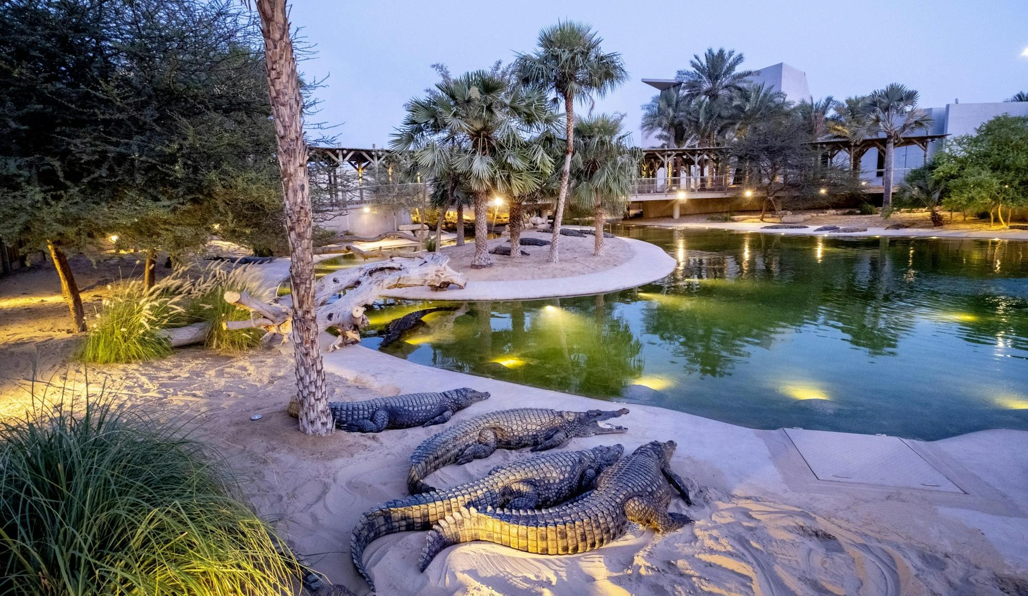 Dubai Crocodile Park experience in Dubai - Image 8