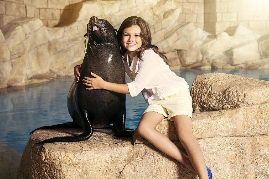 Sea Lion Meet & Greet experience in Dubai - Image 2
