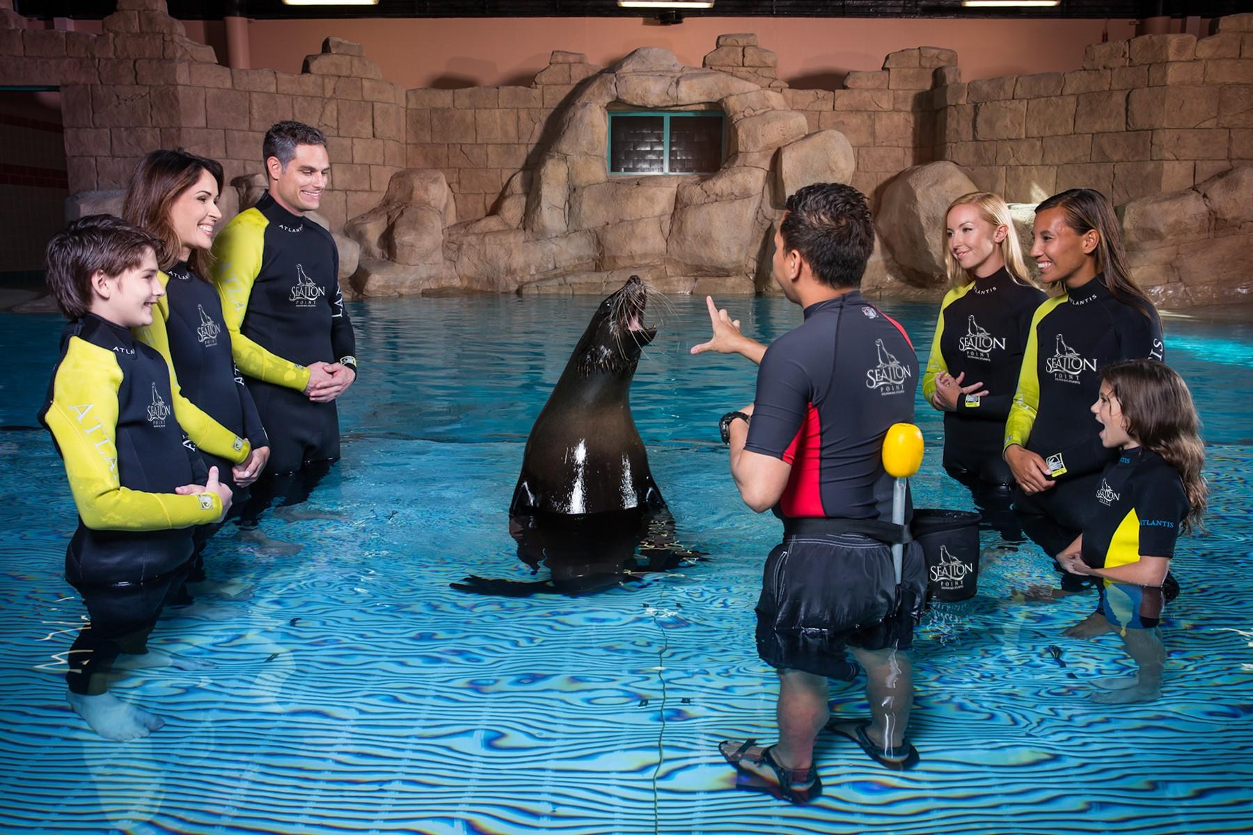 Sea Lion Meet & Greet experience in Dubai - Image 3