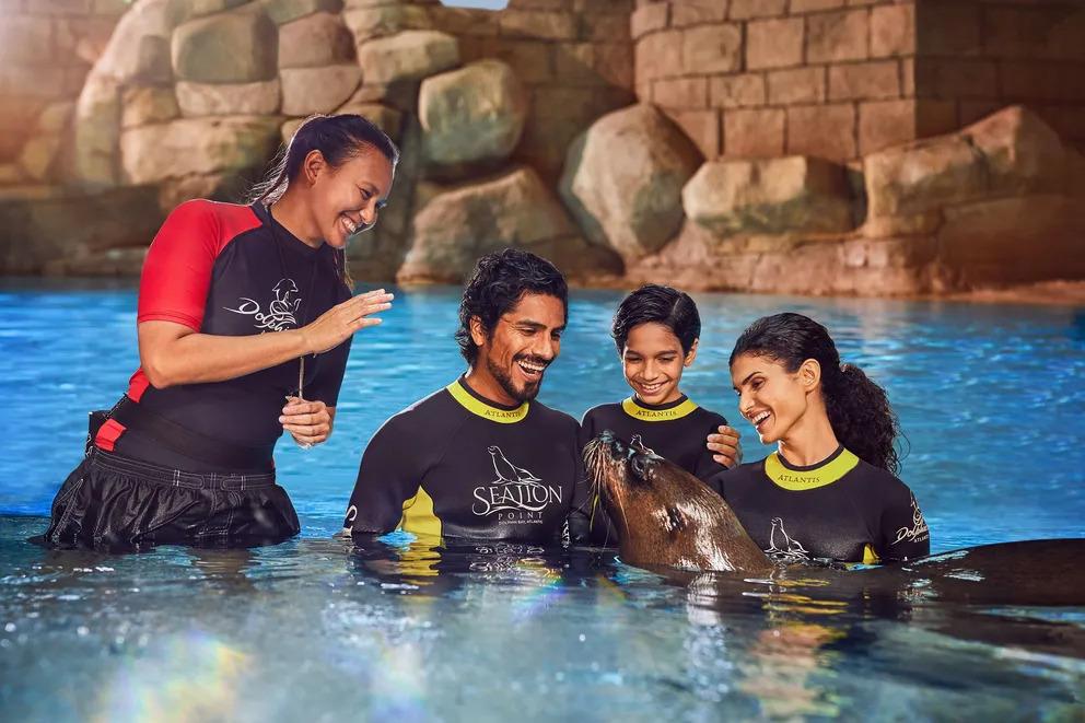 Sea Lion Meet & Greet experience in Dubai - Image 4