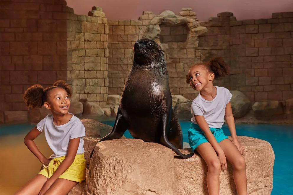 Sea Lion Meet & Greet experience in Dubai - Image 5