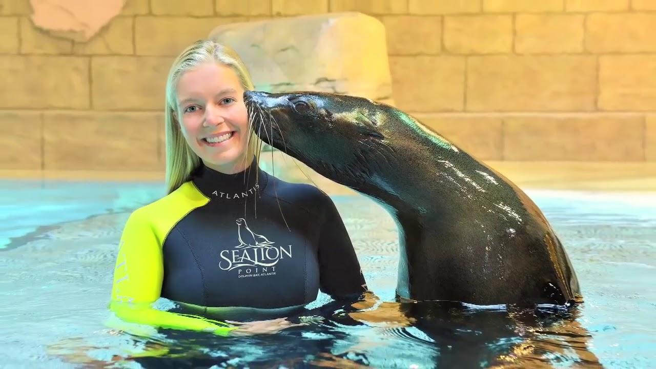 Sea Lion Meet & Greet experience in Dubai - Image 7