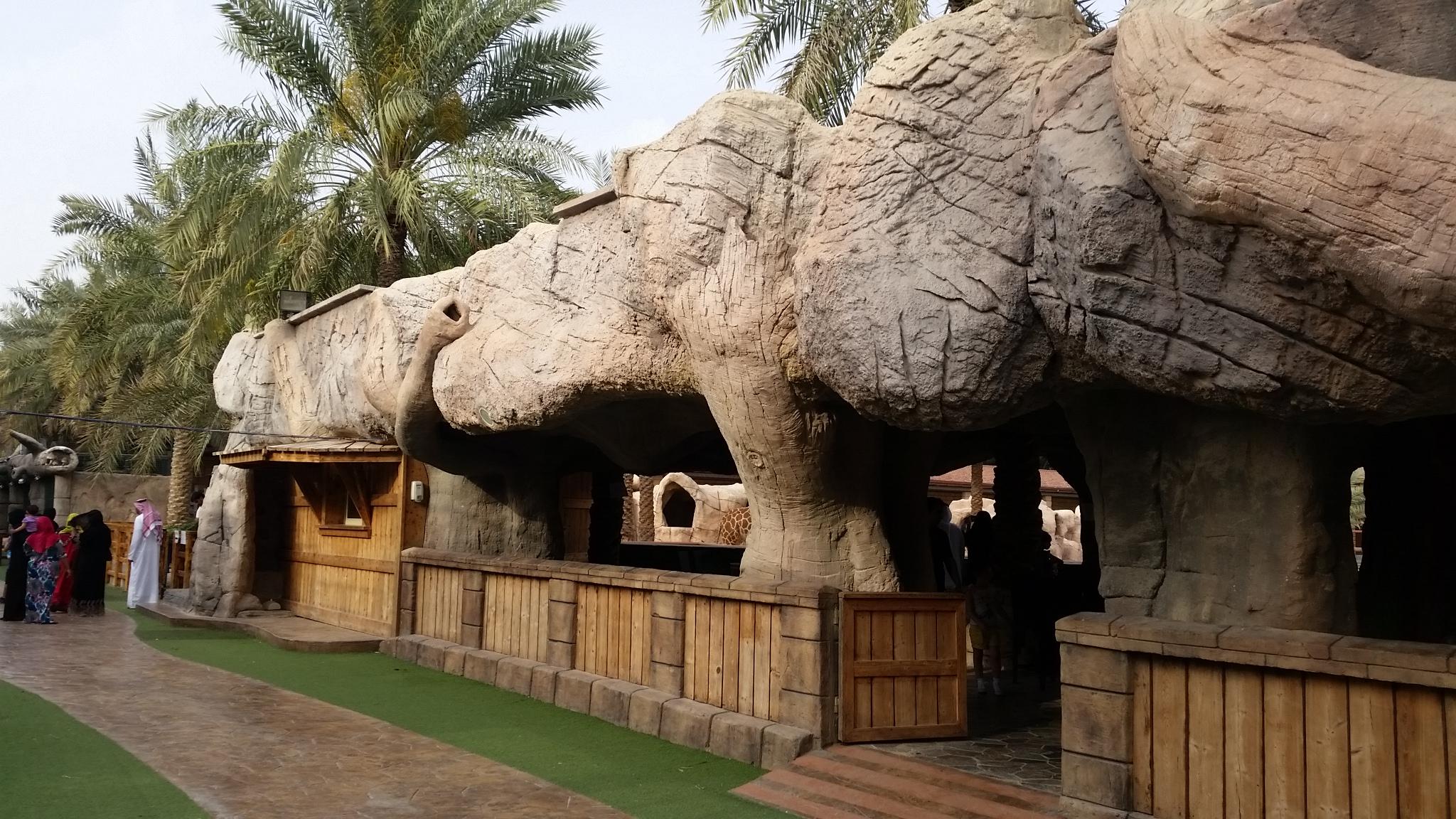 Emirates Park Zoo – A Wild Adventure in Abu Dhabi experience in Dubai - Image 4