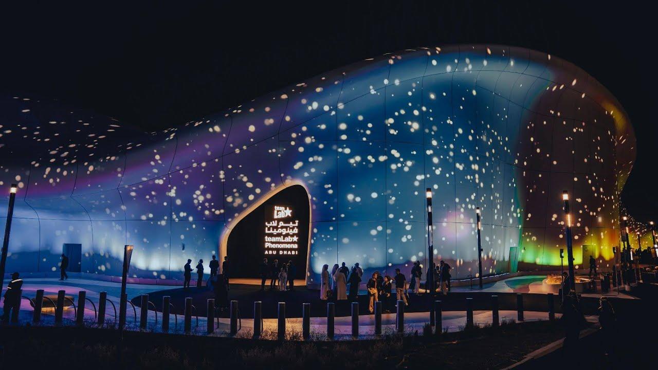 TeamLab Phenomena Abu Dhabi – A World of Evolving Digital Ar experience in Dubai - Image 5