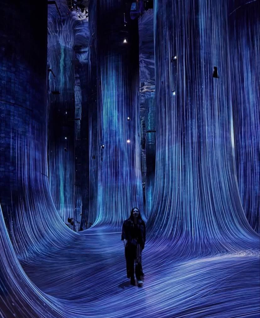 TeamLab Phenomena Abu Dhabi – A World of Evolving Digital Ar experience in Dubai - Image 7
