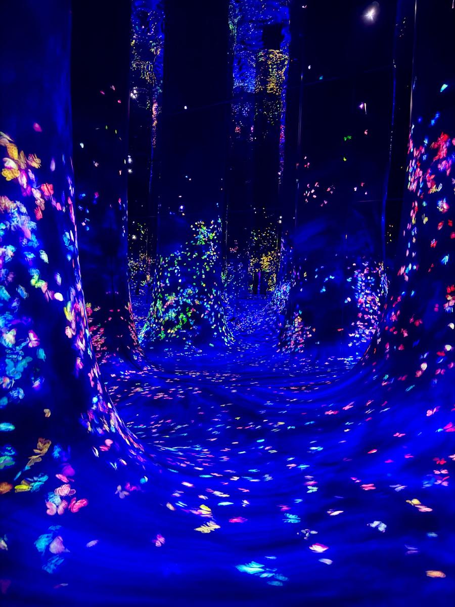 TeamLab Phenomena Abu Dhabi – A World of Evolving Digital Ar experience in Dubai - Image 8