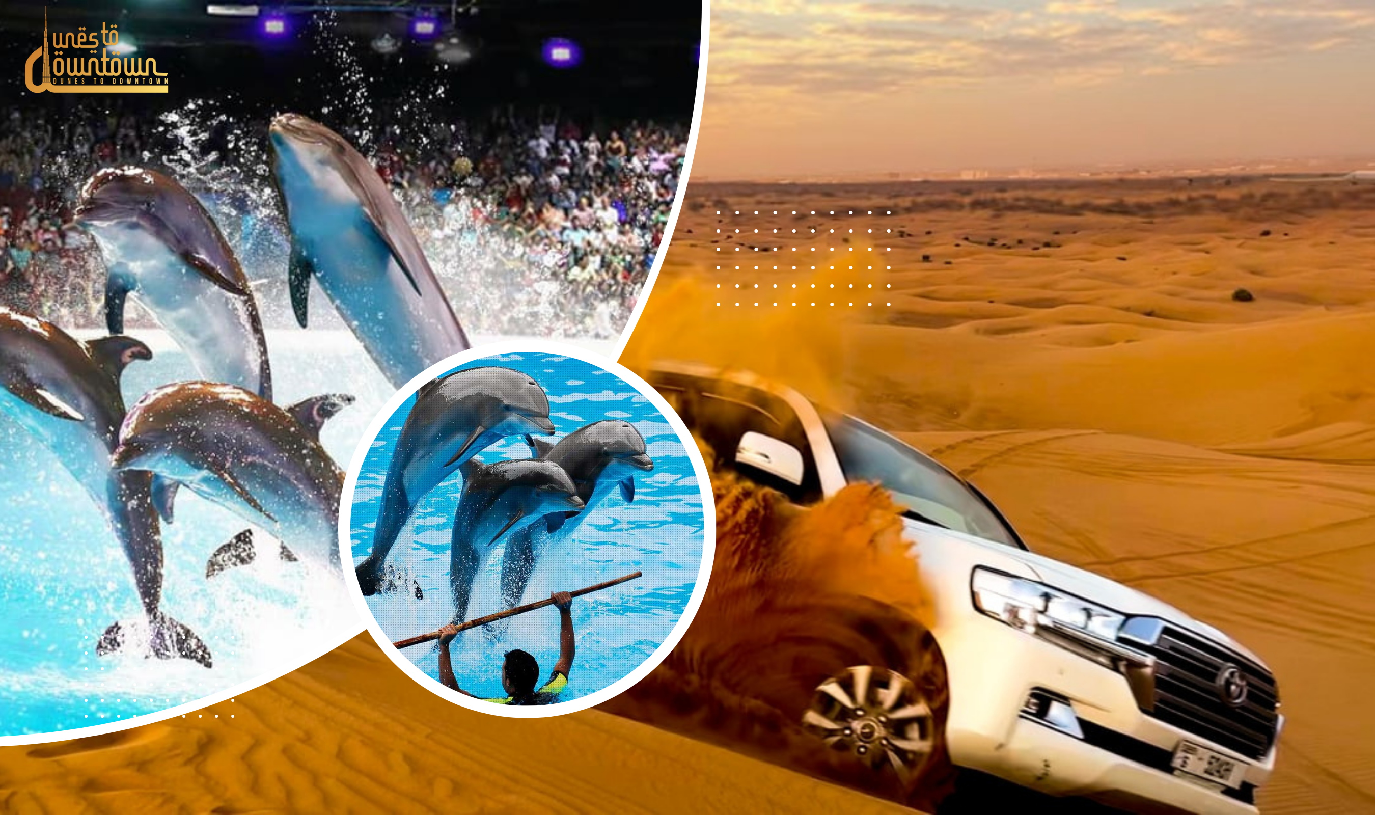 COMBO Dubai Dolphin Show & Dubai Desert Safari experience in Dubai - Image 1