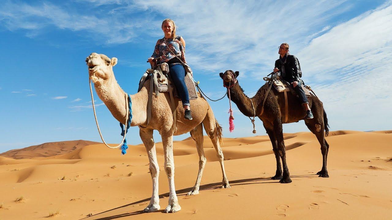 Camel Ride with Quad Bike Ride | Desert Adventure Experience experience in Dubai - Image 6