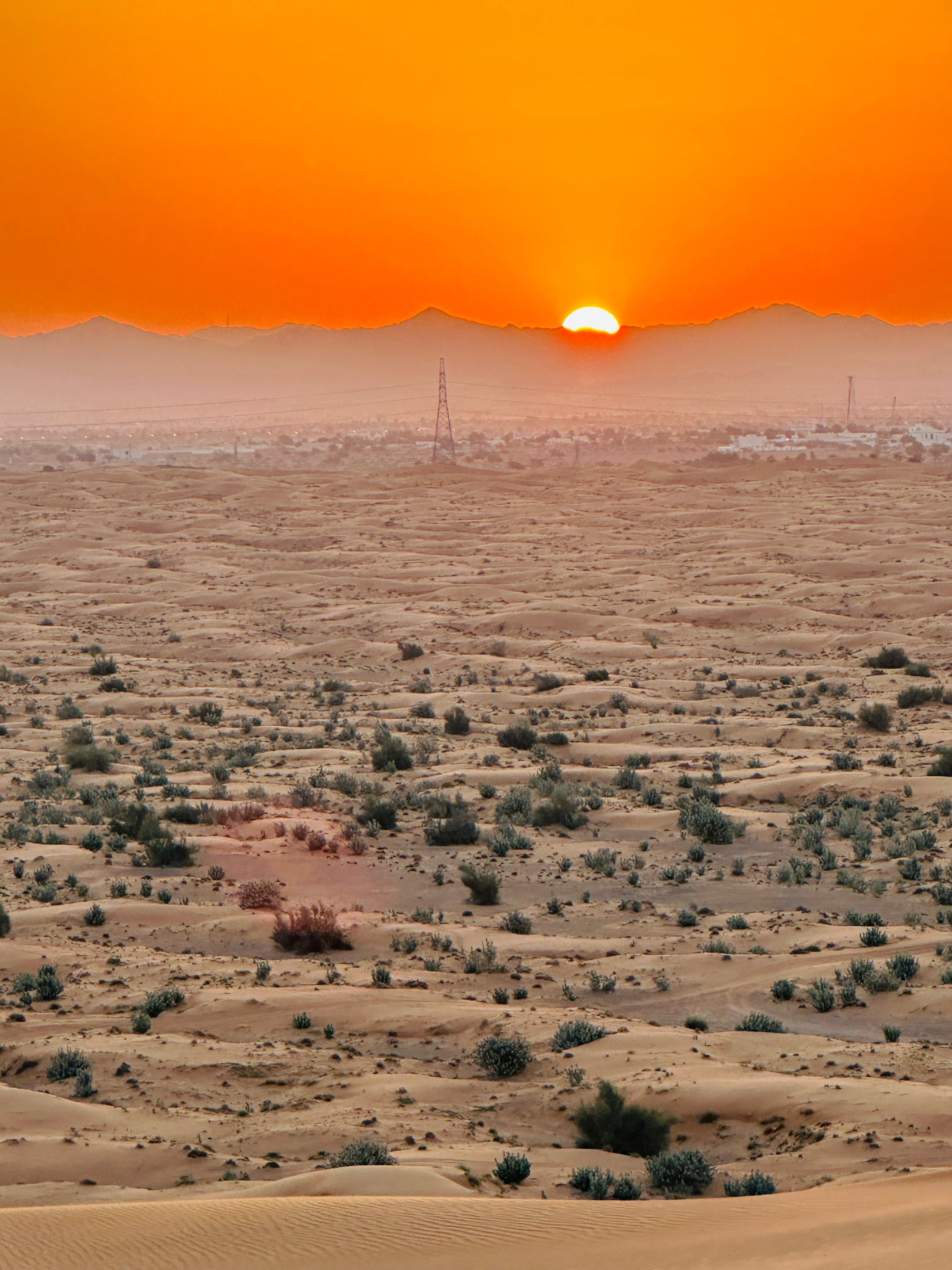 Dubai Sunrise View With Dune Bashing experience in Dubai - Image 9