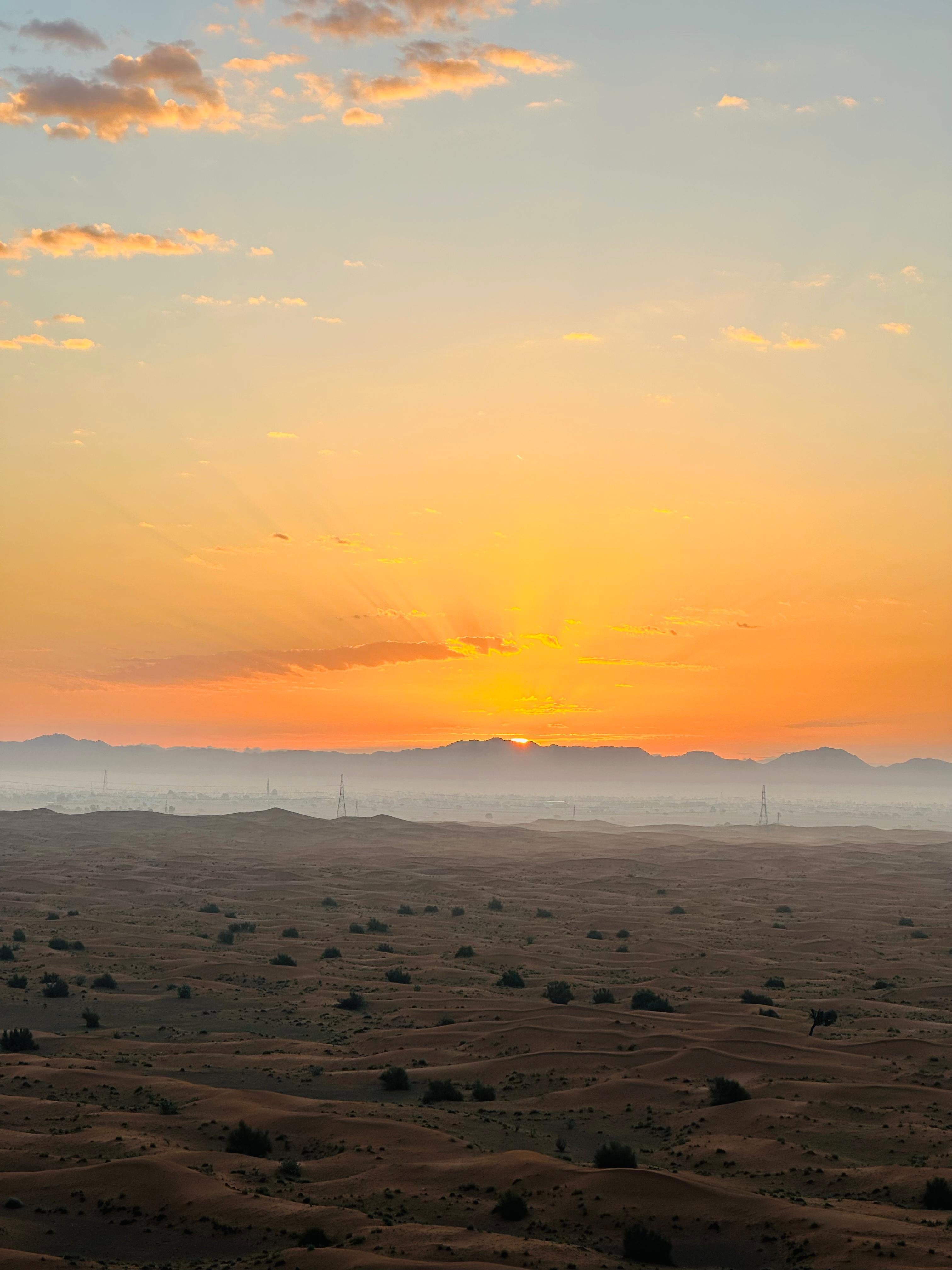 Sunrise Desert View with Dune Buggy Ride and Camel Riding