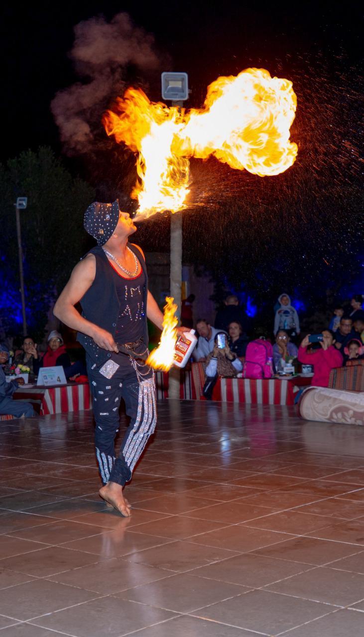 Premium Desert Safari with B.B.Q Dinner + DUNE BUGGY RIDE experience in Dubai - Image 13