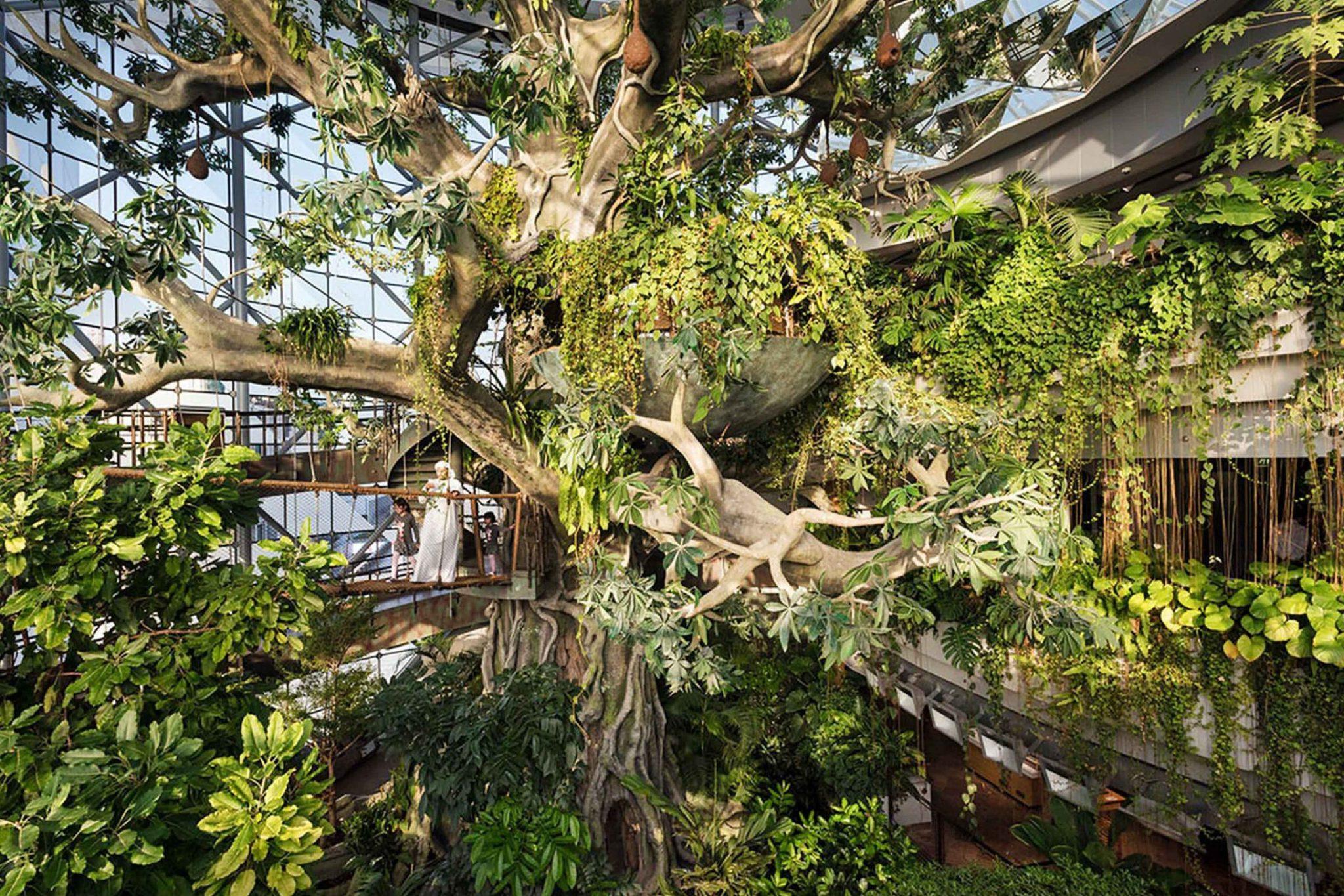 The Green Planet – Dubai’s Indoor Tropical Rainforest experience in Dubai - Image 2