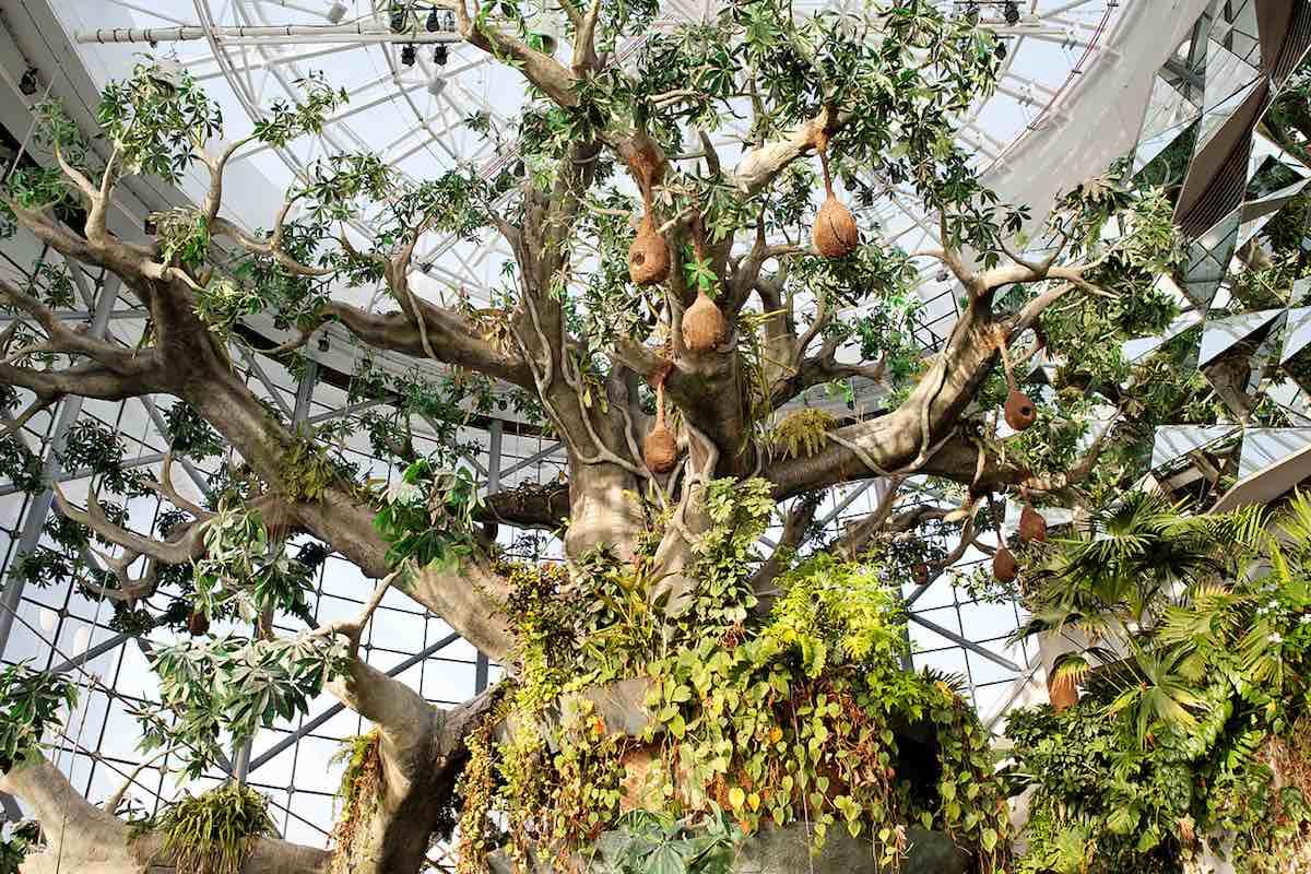 The Green Planet – Dubai’s Indoor Tropical Rainforest experience in Dubai - Image 10