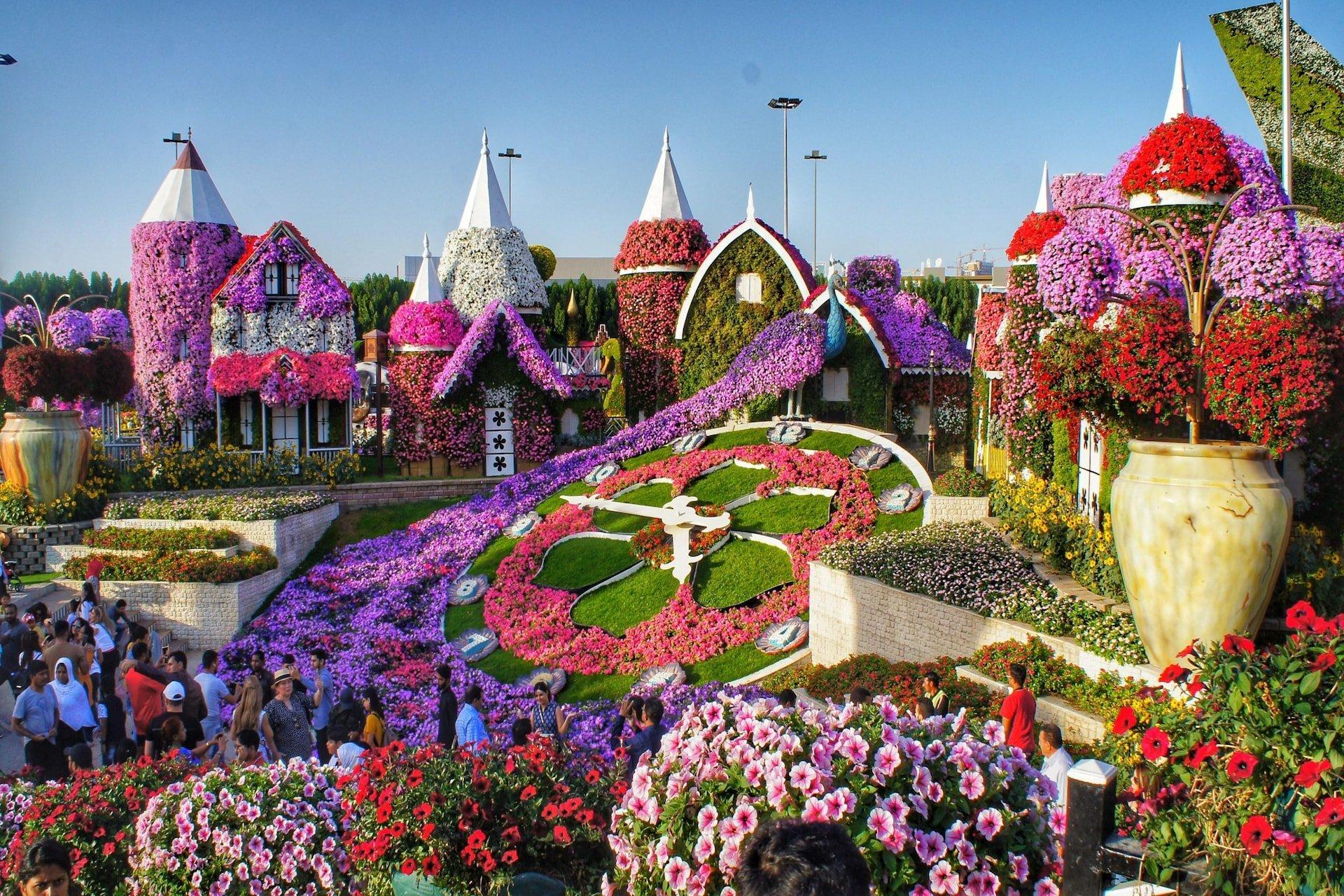 Dubai Miracle Garden – A Blooming Wonderland in the Desert experience in Dubai - Image 1