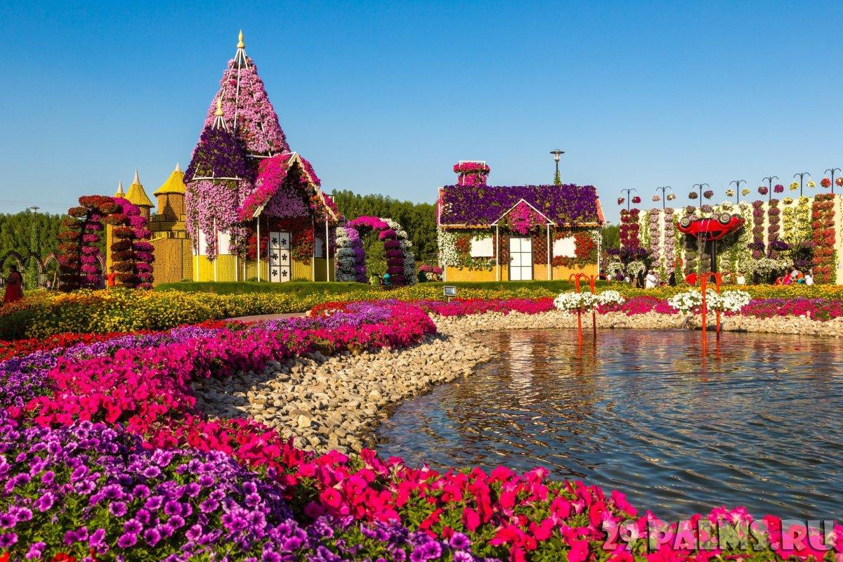 Dubai Miracle Garden – A Blooming Wonderland in the Desert experience in Dubai - Image 2