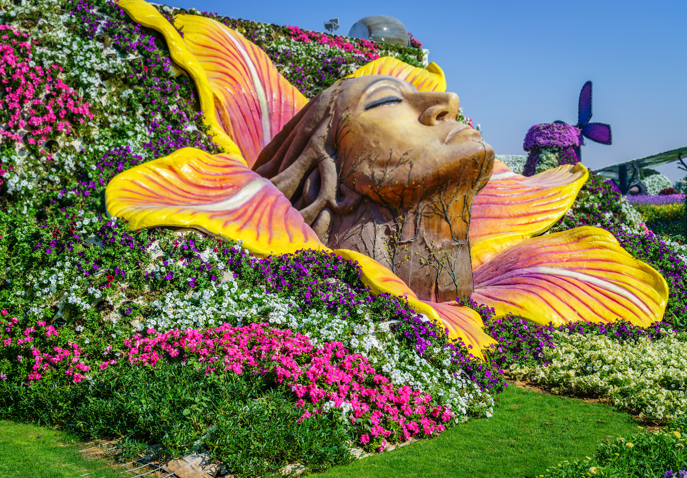 Dubai Miracle Garden – A Blooming Wonderland in the Desert experience in Dubai - Image 9