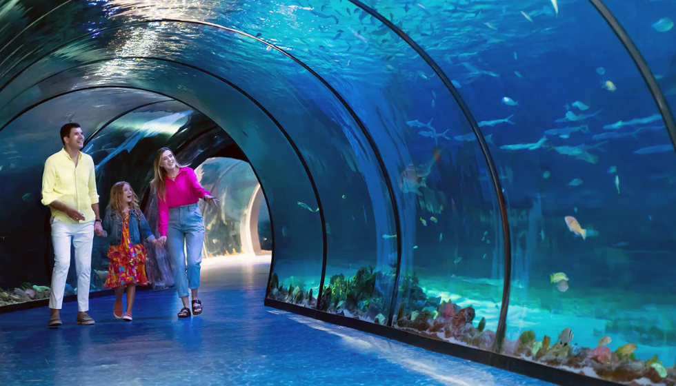 The National Aquarium Abu Dhabi experience in Dubai - Image 2