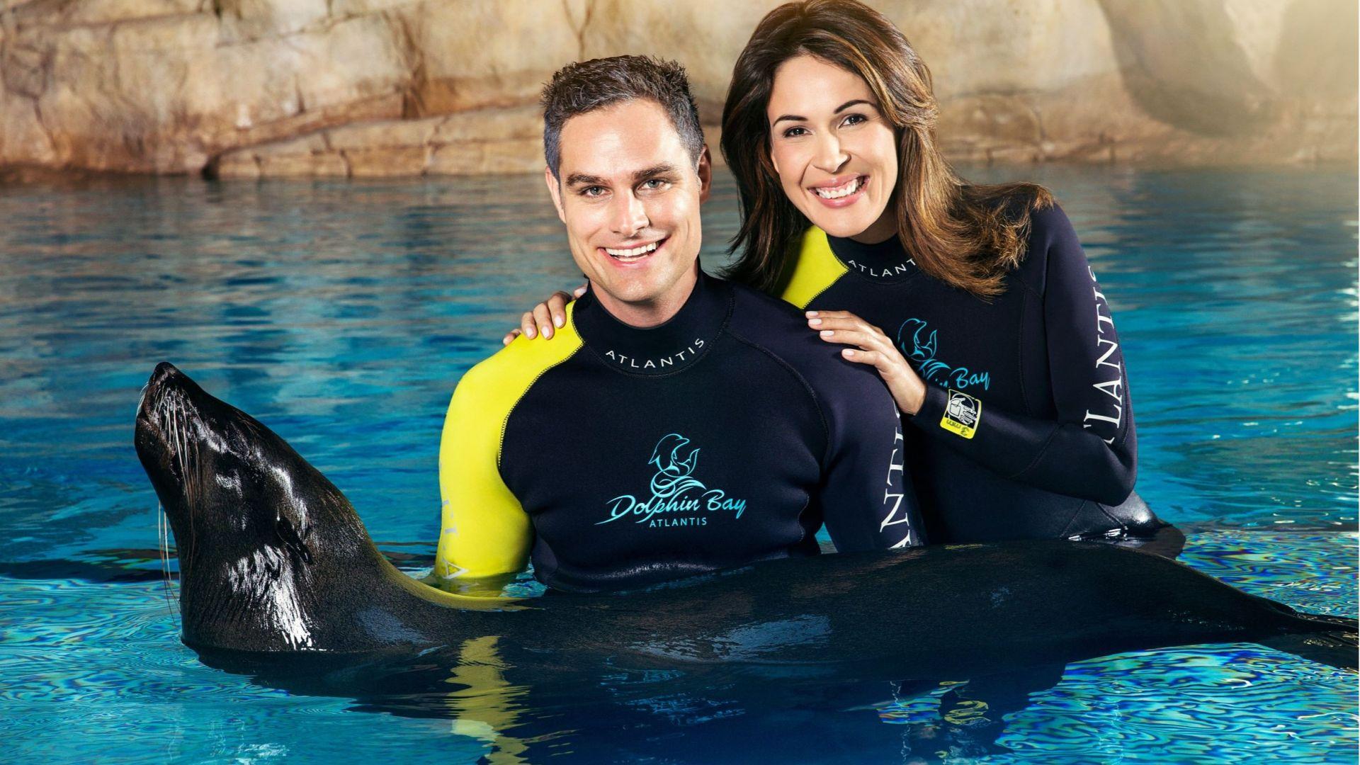 Sea Lion Meet & Greet experience in Dubai - Image 6