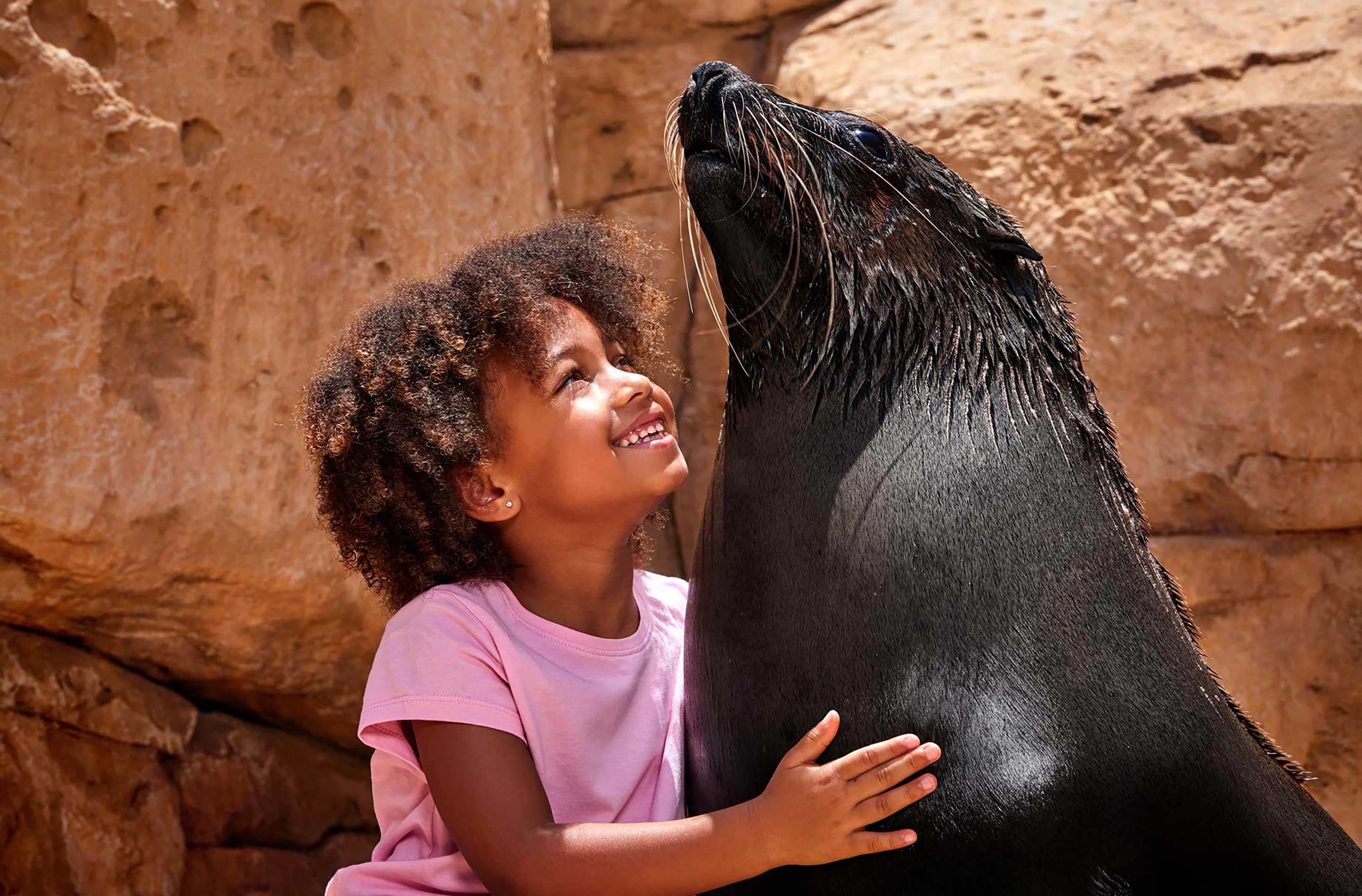 Sea Lion Meet & Greet experience in Dubai - Image 8