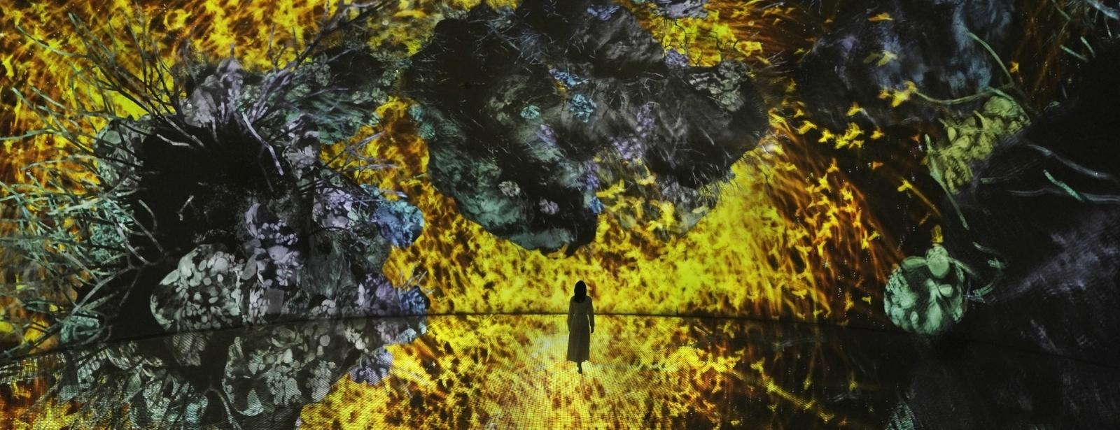 TeamLab Phenomena Abu Dhabi – A World of Evolving Digital Ar experience in Dubai - Image 4