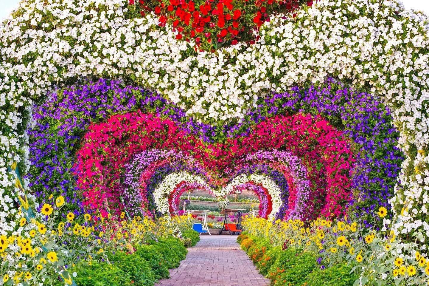 Combo: Miracle Garden & Dubai Desert Safari experience in Dubai - Image 2
