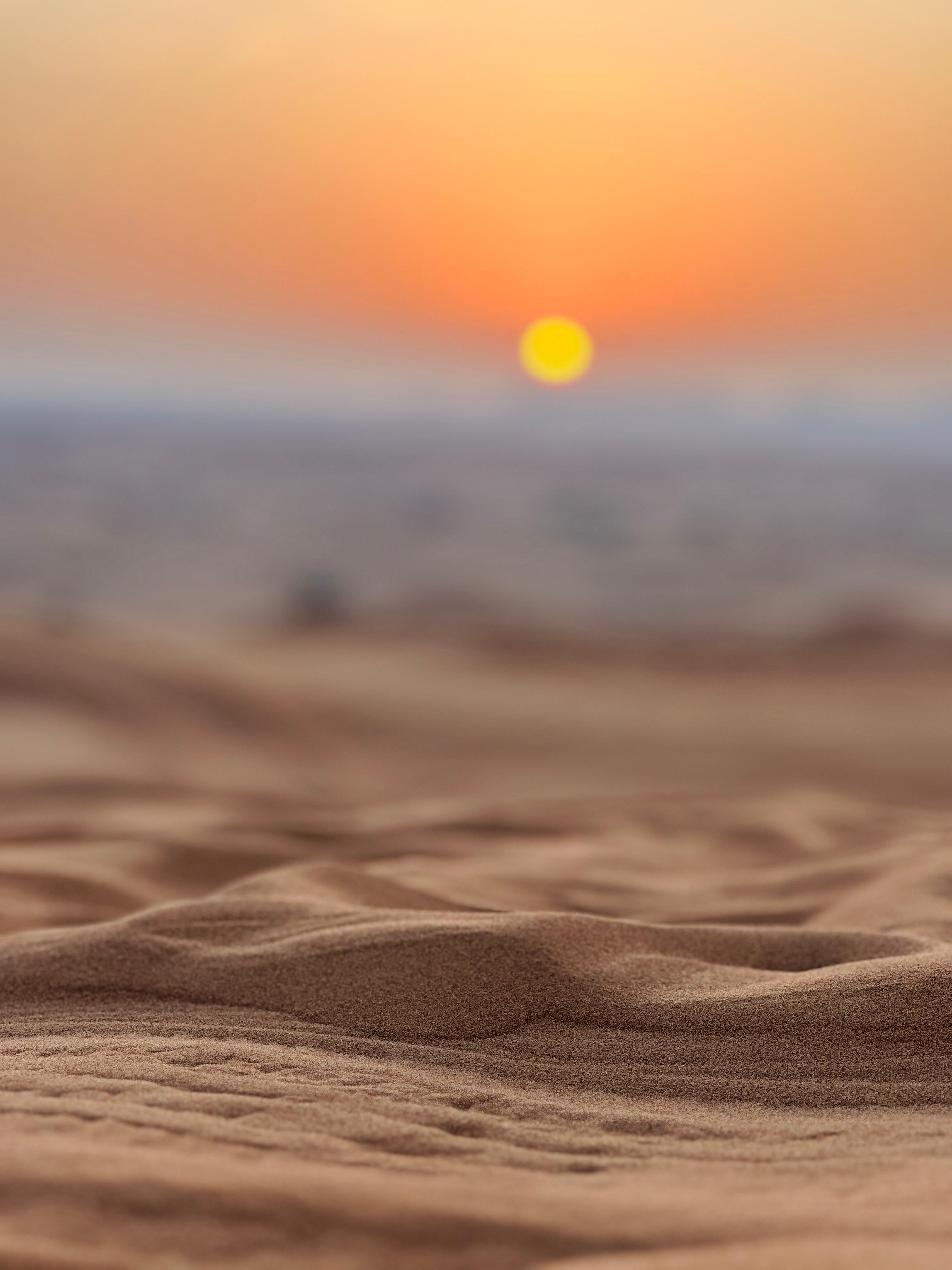 Premium Desert Safari with Dinner at Premium Desert Camp experience in Dubai - Image 6