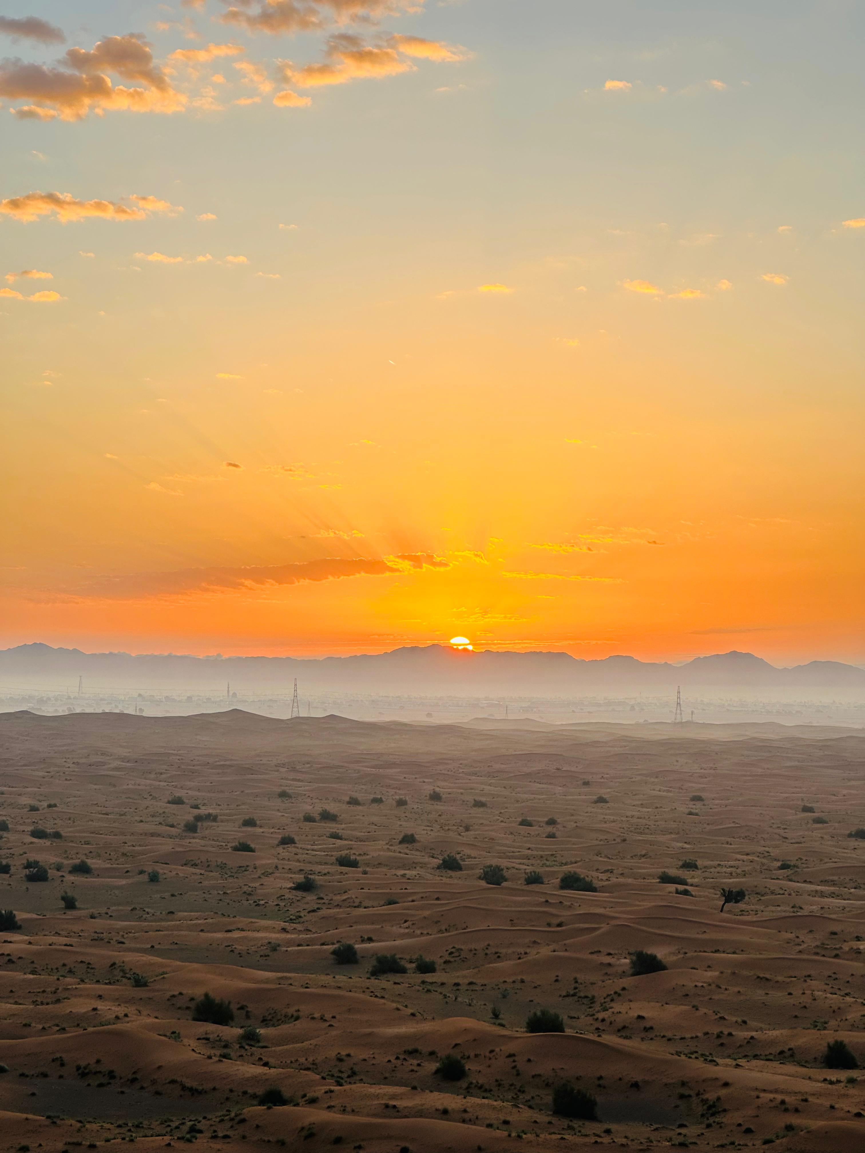 Dubai Sunrise View With Dune Bashing experience in Dubai - Image 5