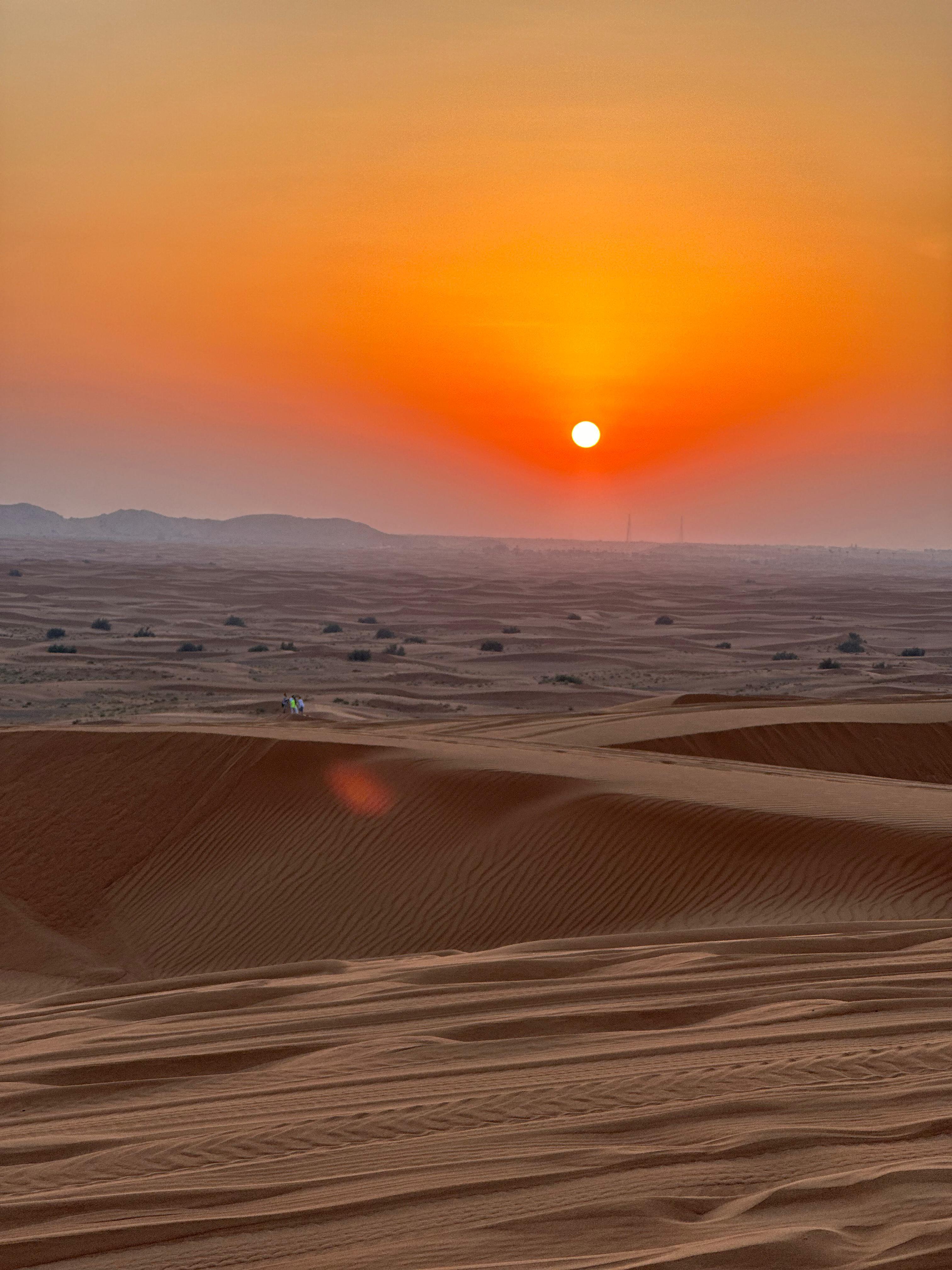 Sunrise Desert View with Dune Buggy Ride and Camel Riding