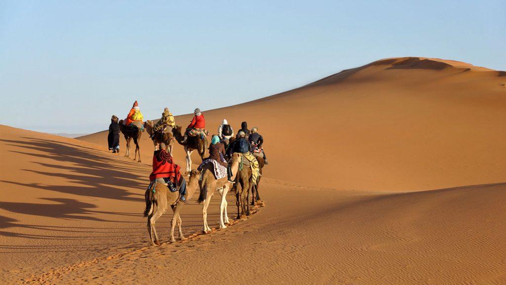 Camel caravan crossing Lahbab dunes during desert riding experience Dubai